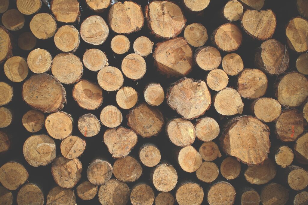 Brændeovne er den ideelle løsning til både varme og hygge i hjemmet