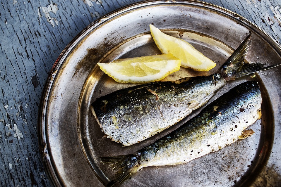 Køb fiskekasser med fersk havkat og andre fisk fra Friskfangetfisk