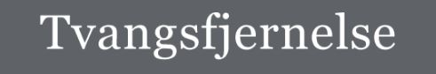 Forståelse af frivillig anbringelse som en vigtig beslutningsproces
